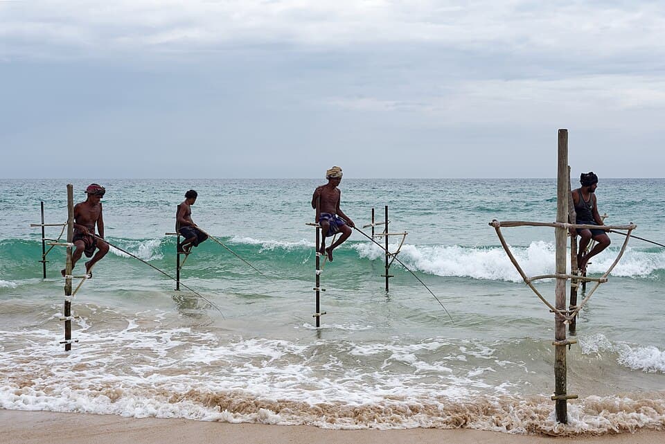 Ayurveda & the Slow Coast